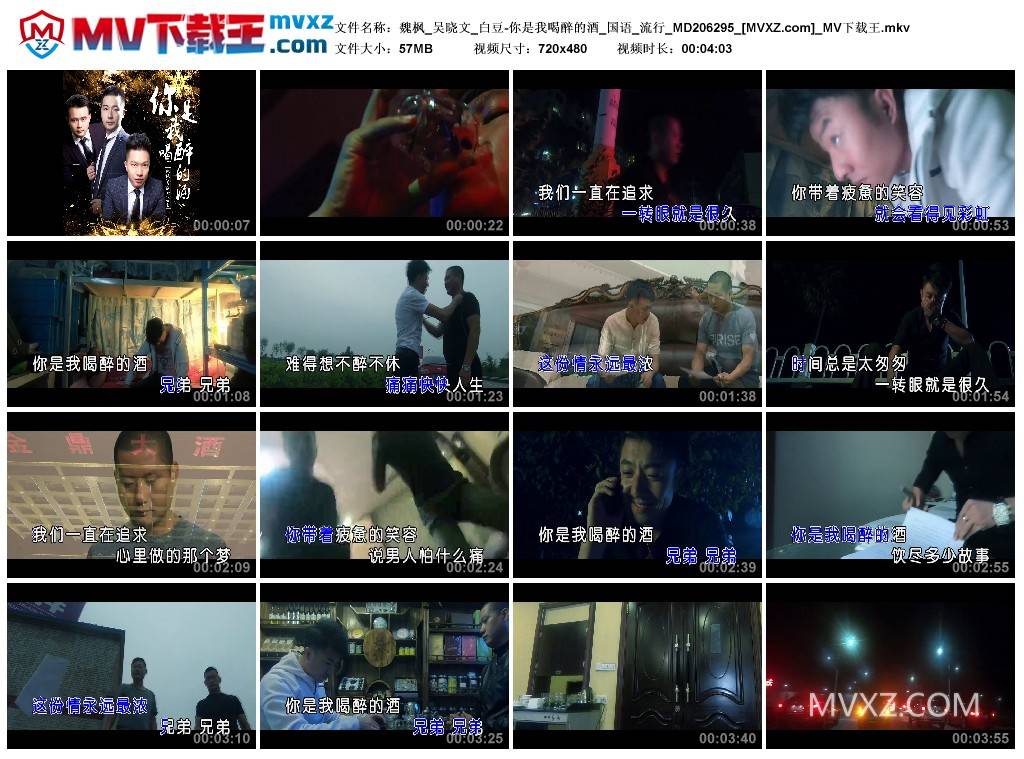 魏枫_吴晓文_白豆-你是我喝醉的酒_国语_流行_MD206295